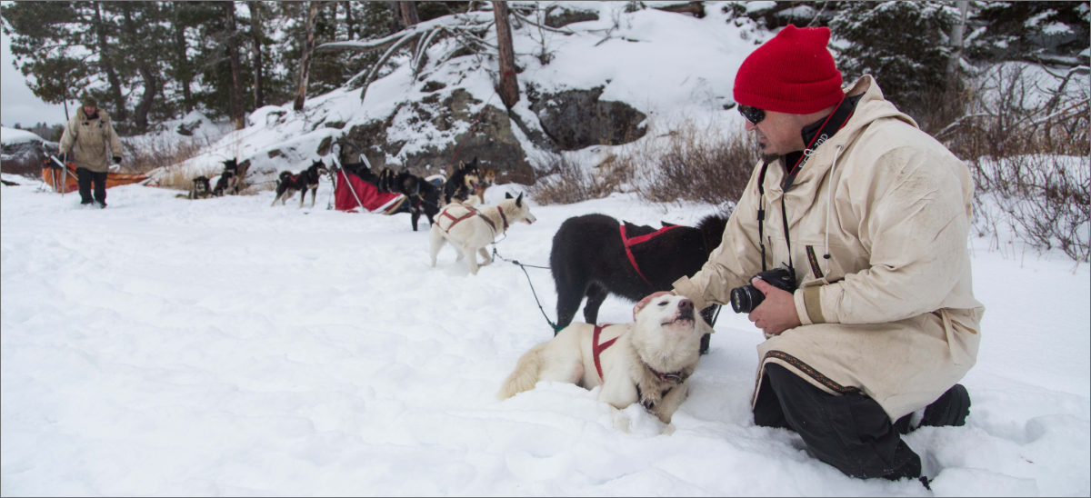 A dog sled team in the snow with a man petting one of the lead dogs.