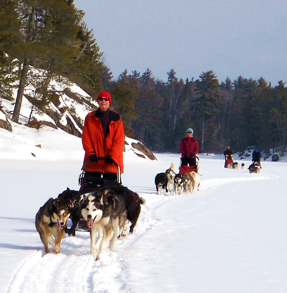 Dog sled teams with riders near Virginia, Minnesota.