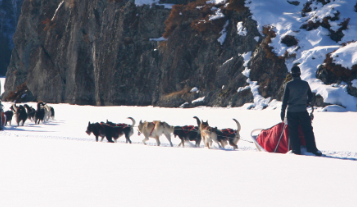 Two White Wilderness dog sled teams near mountains